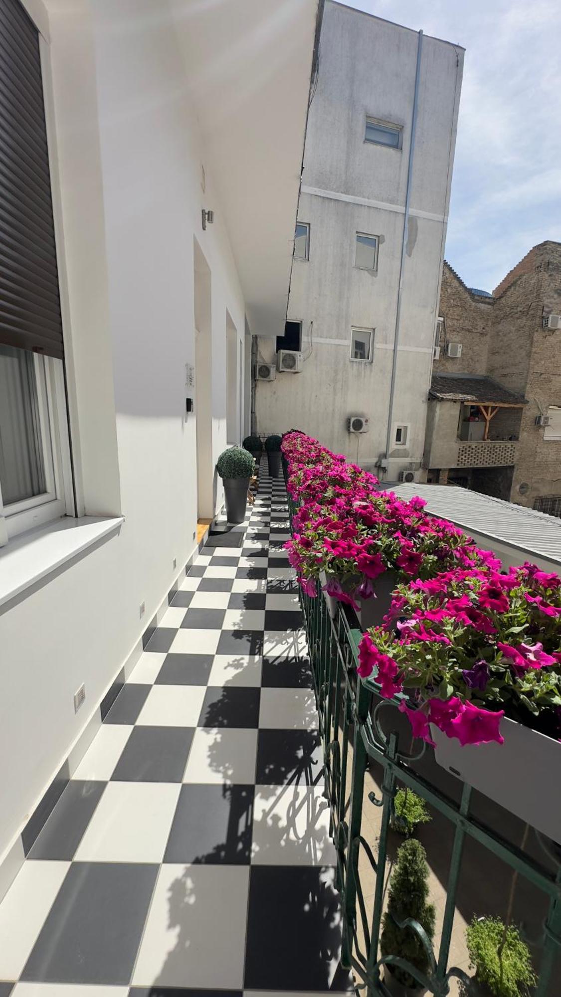 נובי סאד Theatre Square Apartments מראה חיצוני תמונה